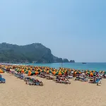 Gardenia 阿拉尼亚