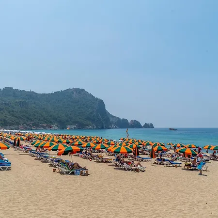 Gardenia Alanya